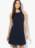People Navy Blue Colored Solid Skater Dress