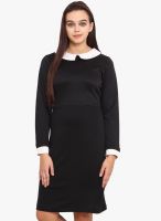 Phenomena Black Colored Solid Shift Dress