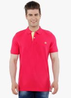 R&C Fuchsia Solid Polo T-Shirt