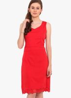 Sweet Lemon Red Colored Solid Shift Dress