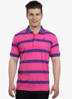 The Cotton Company Pink Striped Polo T-Shirt