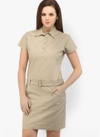 X'Pose Beige Colored Solid Shift Dress