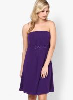 s.Oliver Purple Colored Solid Shift Dress