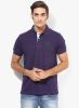 Arrow_Purple_Solid_Polo_T_Shirt.jpg