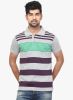 Orange_Valley_Purple_Striped_Polo_T_1.jpg