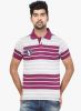 Orange_Valley_Purple_Striped_Polo_T_2.jpg