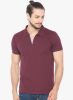 Status_Quo_Maroon_Solid_Polo_T_Shir_1.jpg