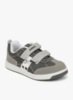 Admiral Cute Grey Sneakers