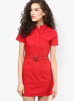 Calgari Red Colored Solid Shift Dress
