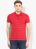 Fame Forever By Lifestyle Red Polo T-Shirt