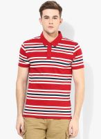 Fame Forever By Lifestyle Red Polo T-Shirt