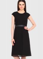 Femenino Black Colored Solid Shift Dress