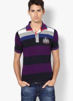 Fungus Grey Striped Polo T-Shirts