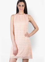 Gipsy Pink Colored Solid Shift Dress