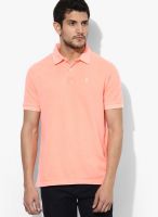 Izod Pink Solid Polo T-Shirts