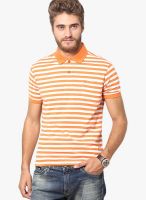John Players Orange Striped Polo T-Shirt