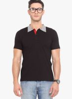 Northern Lights Black Solid Polo T-Shirts