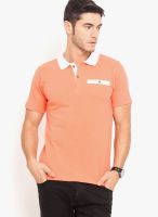 Northern Lights Peach Solid Polo T-Shirts