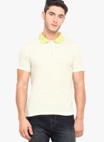 Northern Lights White Striped Polo T-Shirts