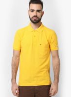 Sdl By Sweet Dreams Yellow Solid Polo T-Shirts