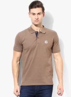 Selected Brown Solid Polo T-Shirt