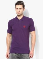 Selected Purple Solid Polo T-Shirt