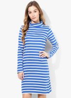 Style Quotient Blue Colored Striped Shift Dress