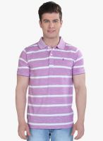 The Cotton Company Purple Striped Polo T-Shirt