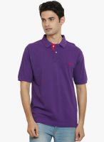 Thisrupt Purple Solid Polo T-Shirt