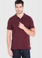 Highlander Maroon Solid Polo TShirts