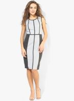 Dorothy Perkins Grey Colored Emroidered Bodycon Dress