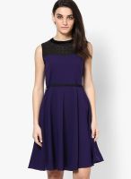 Soie Purple Colored Solid Skater Dress