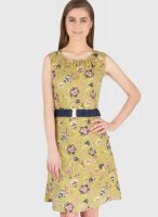 Tops And Tunics Green Colored Printed Shift Dress