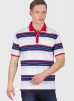 Wilkins & Tuscany White Striped Polo T-Shirts