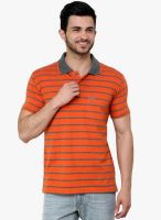 Cotton County Premium Orange Striped Polo T-Shirt