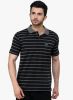 Cotton_County_Premium_Black_Striped.jpg