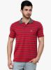 Cotton_County_Premium_Maroon_Stripe.jpg