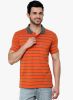 Cotton_County_Premium_Orange_Stripe.jpg