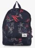 Quiksilver_Poster_Mo_Blue_Backpack_1.jpg
