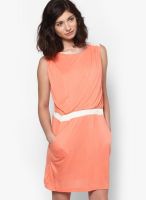 MANGO-Outlet Peach Colored Solid Shift Dress
