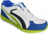 Spot_On_Running_Shoes.jpg