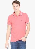 HW Pink Solid Polo T-Shirt