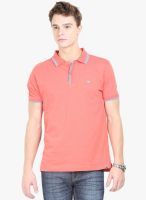 HW Rust Solid Polo T-Shirt