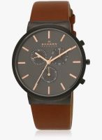 Skagen Skagen Ancher Brown/Grey Analog Watch