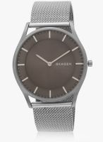 Skagen Skagen Holst Silver/Grey Analog Watch