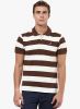 American_Crew_Brown_Striped_Polo_T_.jpg