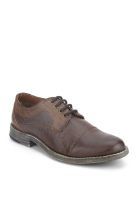 Knotty Derby Barty Toe Cap Brown Lifestyle Shoes