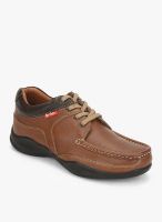 Lee Cooper Brown Boat Shoes