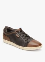 Levi's Tulare Pt Brown Sneakers