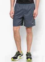 Puma Grey Shorts